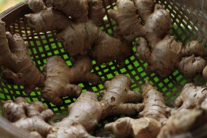 Photo Ginger root